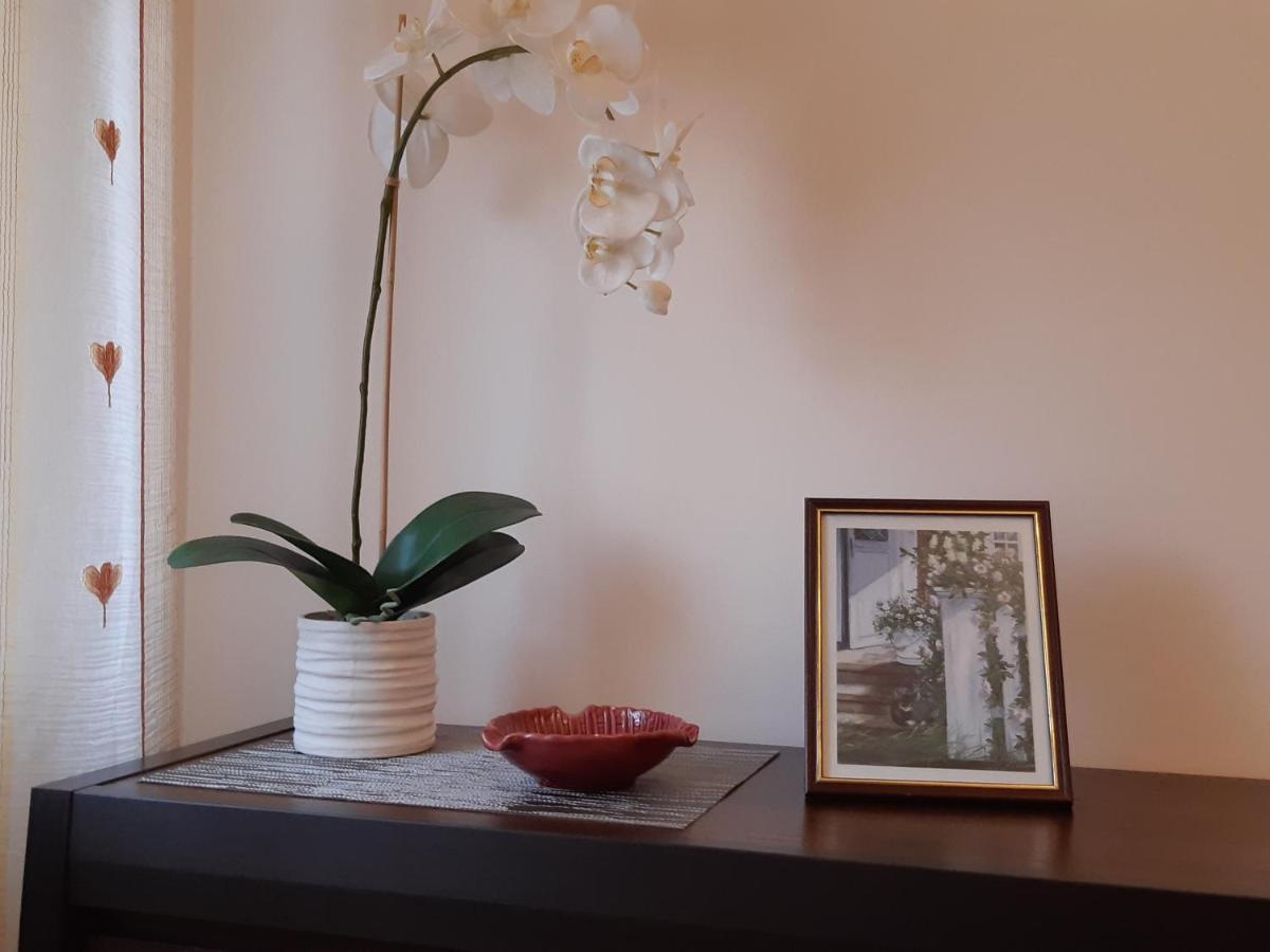 Akord Apartment Centrum With Free Parking パルヌ エクステリア 写真